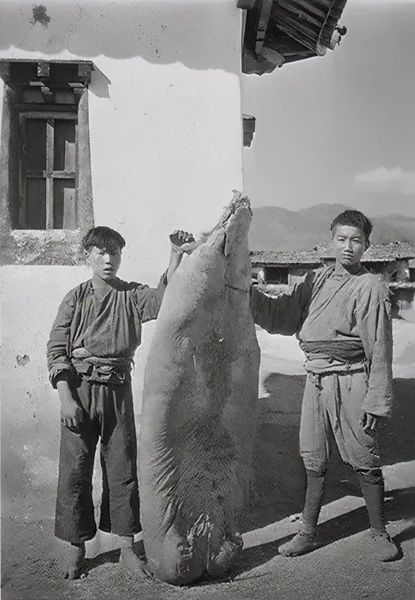 摩梭男孩与猪膘肉（1931）