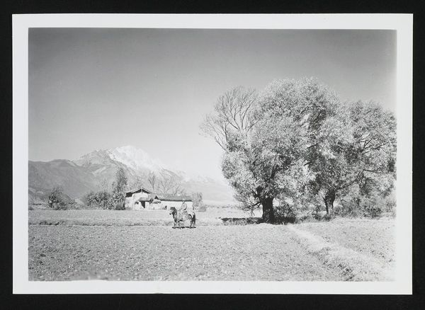 从象山看丽江田野与雪山（二）